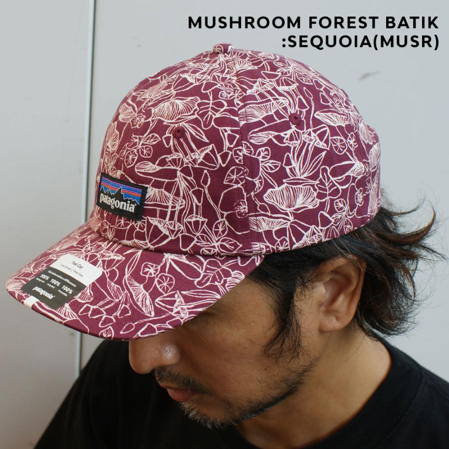 patagonia（パタゴニア） 新品 Patagonia P-6 Label Trad Cap ラベル