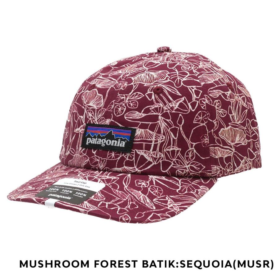 patagonia（パタゴニア） 新品 Patagonia P-6 Label Trad Cap ラベル