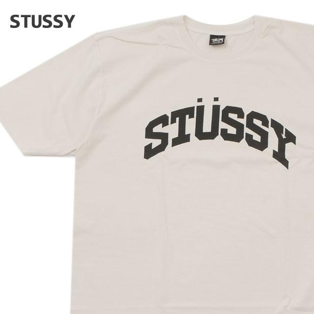新品 ステューシー STUSSY BLOCK SPORT PIGMENT DYED TEE Tシャツ