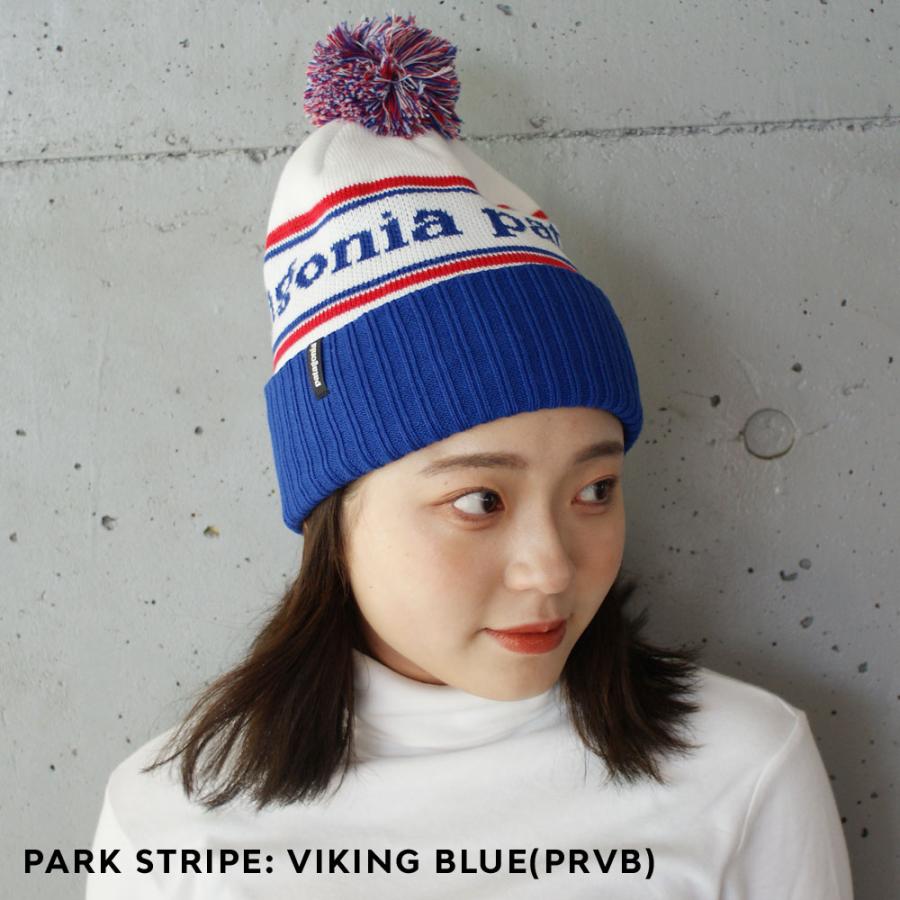 patagonia 新品 パタゴニア Patagonia Powder Town Beanie patagonia 新品 パタゴニア Patagonia Powder Town Beanie