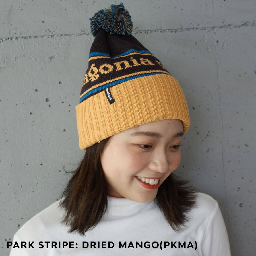 patagonia 新品 パタゴニア Patagonia Powder Town Beanie patagonia 新品 パタゴニア Patagonia Powder Town Beanie