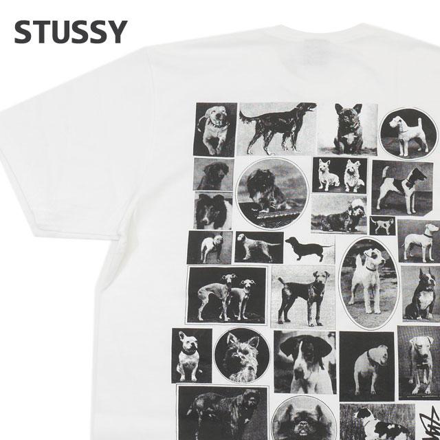 STUSSY 新品 ステューシー DOG COLLAGE TEE Tシャツ スケート