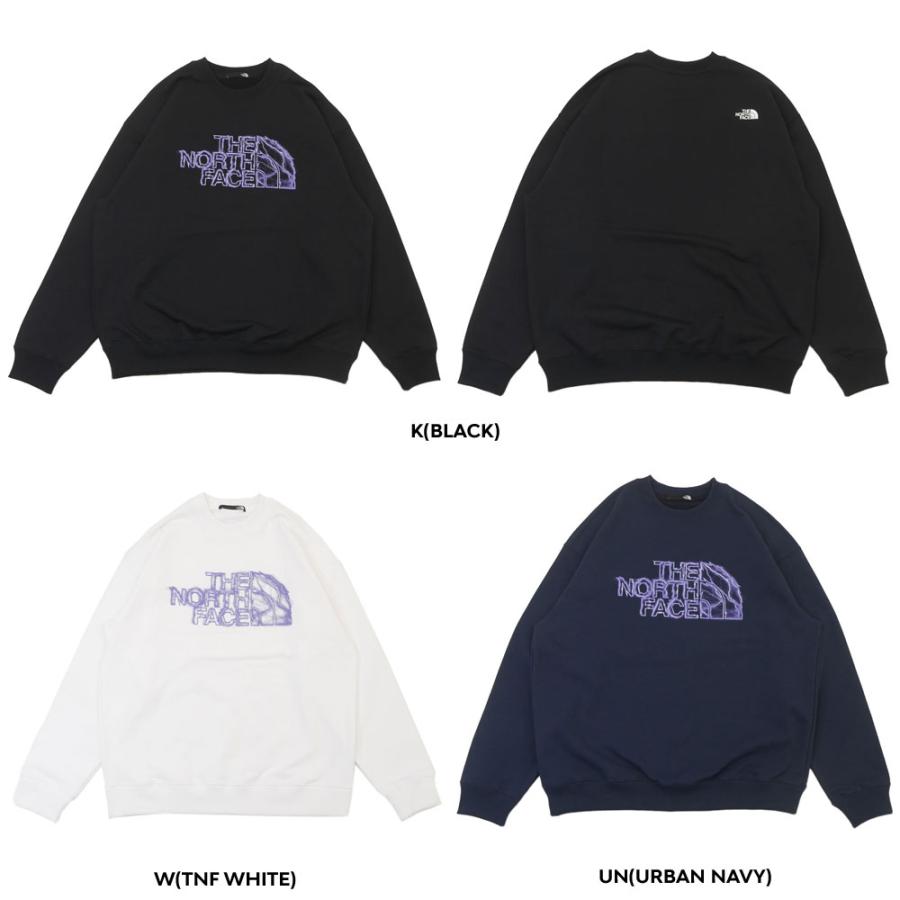THE NORTH FACE Graphic Sweat Crew Lサイズ THE NORTH FACE スウェット グラフィックスウェットクルー ザ