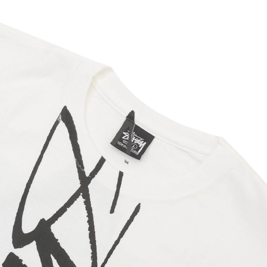 STUSSY（ステューシー） 【店舗限定】新品 STUSSY CARSON DINO TEE T