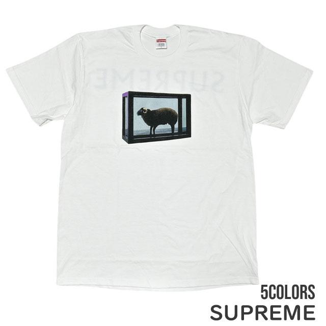 Supreme 新品 シュプリーム SUPREME Damien Hirst Tee ダミアン