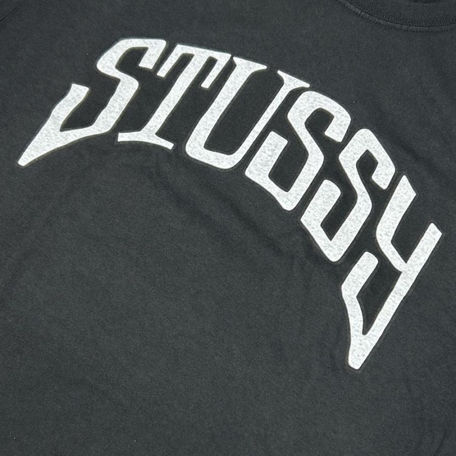 STUSSY 新品 ステューシー ARCHED PIG.DYED TEE Tシャツ