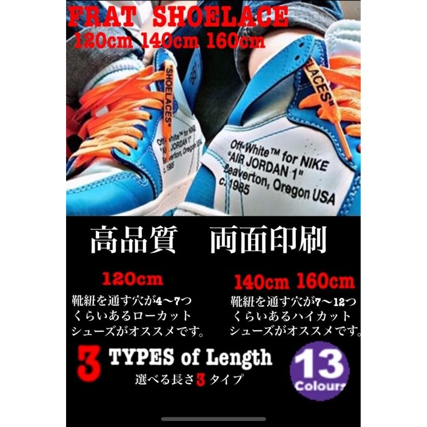 シューレース 平紐 2本セット 120,140,160cm ナイキ 靴紐 : E.S.T