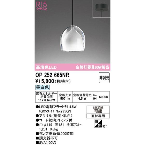 ODELIC（オーデリック） 【関東限定販売】オーデリック「OP252665NR