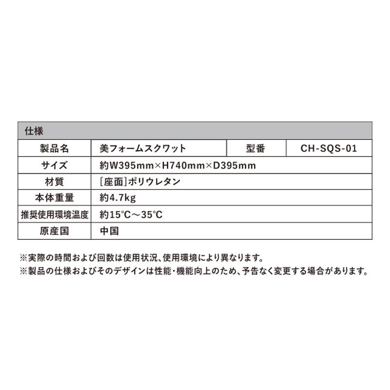 保阪尚希 監修 美フォームスクワット スクワット 椅子 マシン 上下運動 エクササイズ ながら運動 トレーニング椅子 運動不足 スクワットサポート  エクササイズ