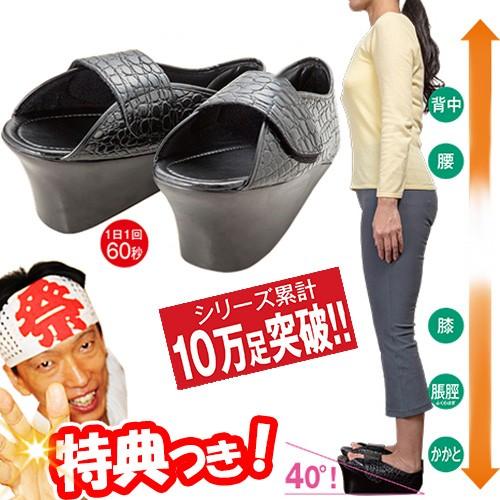 あべこべシューズ 男女兼用 室内専用 足先が高くなるシューズ ストレッチシューズ アベコべシューズ ふくらはぎストレッチ 約40度の傾斜 ハイキャップＳ