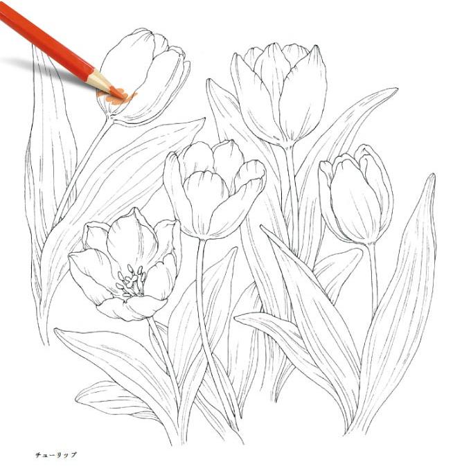 心がやすらぐ花のぬりえセット 塗絵 ぬりえ2冊 24色鉛筆 コスミック出版 塗り絵 ぬりえ キット 色鉛筆つきで単品購入よりお得なセット 自宅 自主学習 Tsu77 エスケンショッピング 通販 Yahoo ショッピング