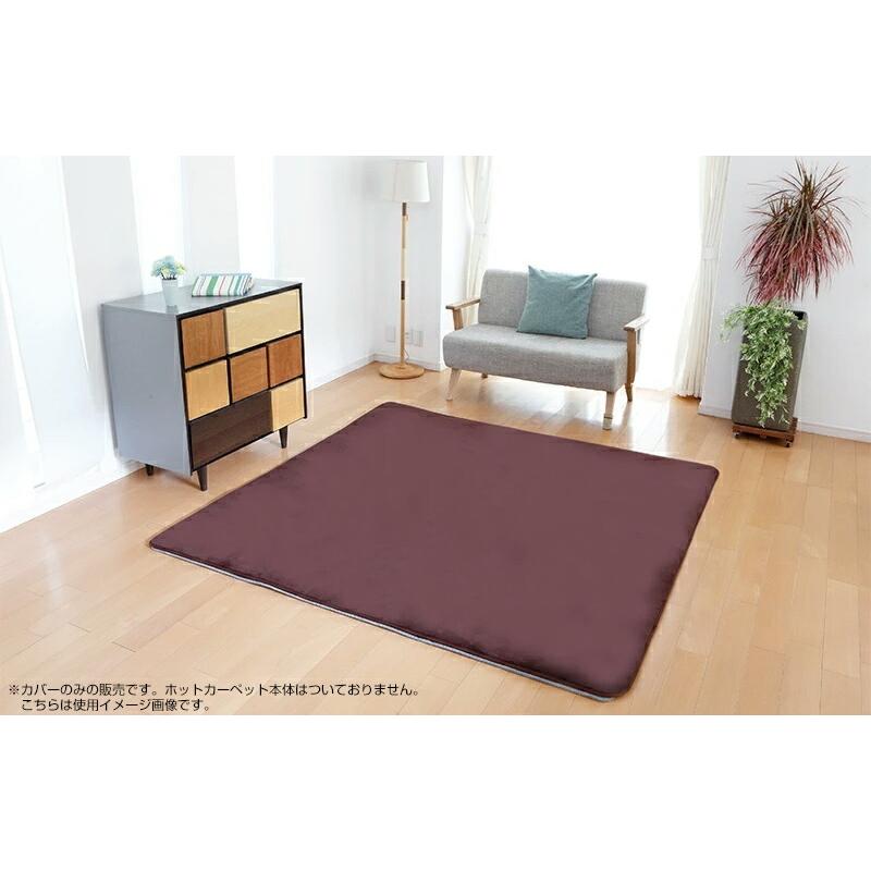 ゼンケン 電磁波カット ホットカーペット ZC-20KR ZCB-20P ZC