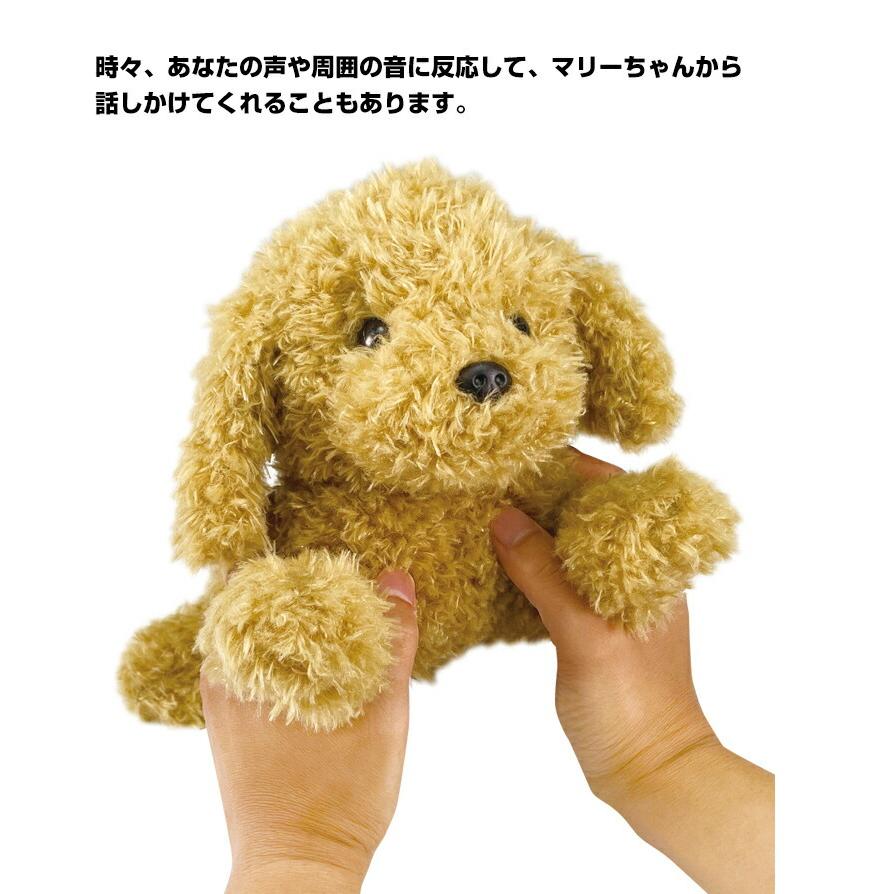 タカラトミーアーツ　 お歌とお話し大好き♪おりこうマリー Amazon.co.jp: デジレクト お歌とお話し大好きおりこうマリー