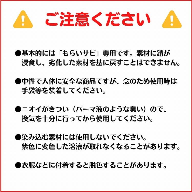 中性サビ除去剤 ブリーチング・スピリッツ・ペースト 80g BS-101P 