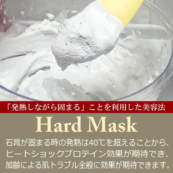 PLOSION ハードマスク 石膏フェイスマスク10包入り新品未開封 LLE(業務用)ハードマスク 250g×5 石膏パック / プロ専用エステ・理美容