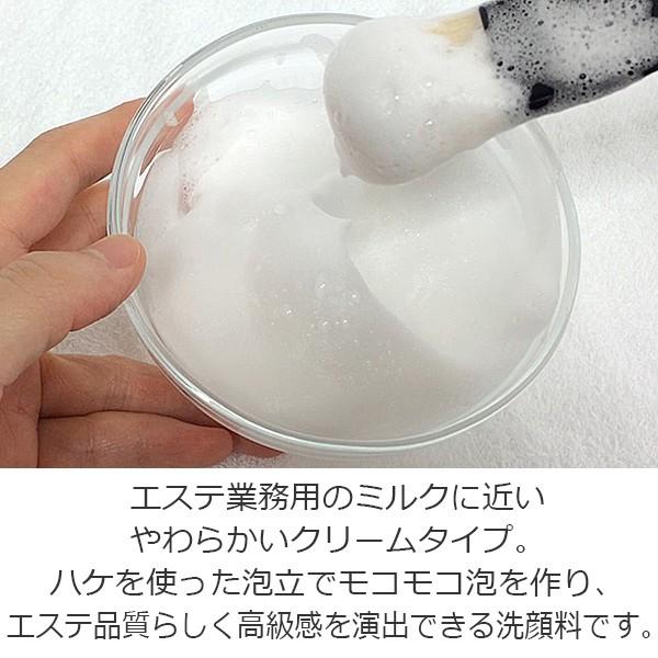 エステ業務用 ウォッシングフォーム 450mL / Cleansing Line Wash Form 