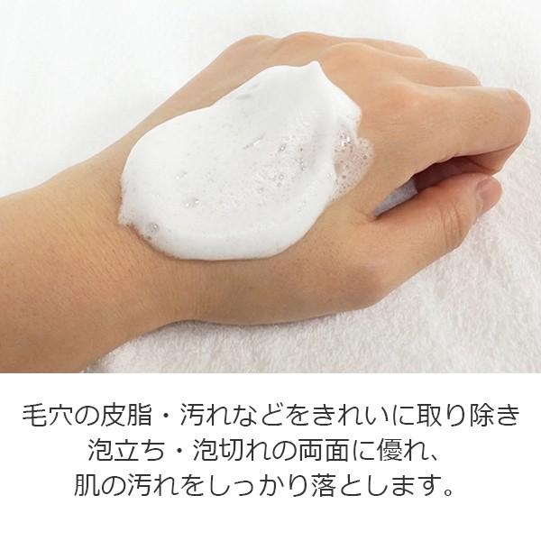 エステ業務用 ウォッシングフォーム 450mL / Cleansing Line Wash Form 