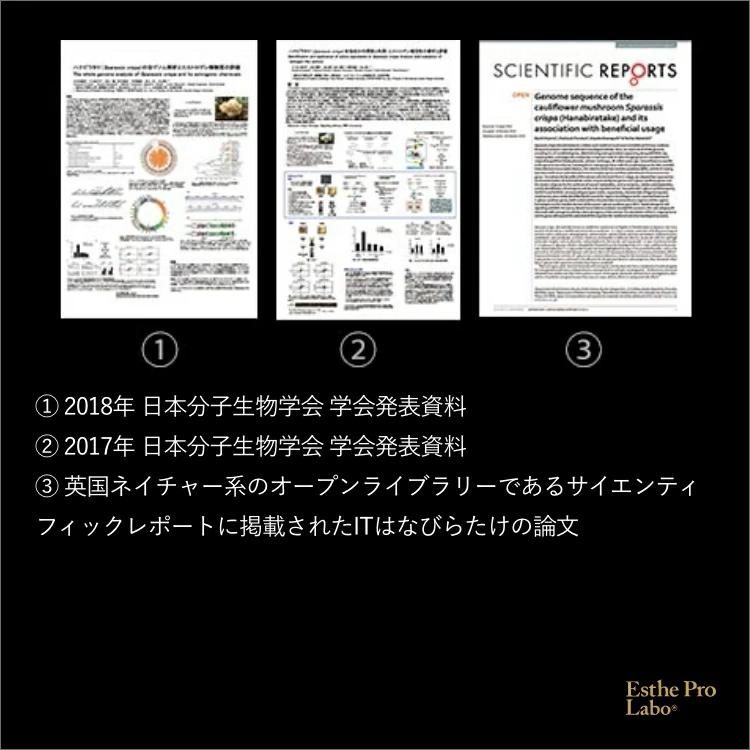 Esthe Pro Labo ウィメンズエスト グランプロ 6g 30包 25種類 インナーケア サプリ ボディメイク 国産植物 植物発酵酵母 ペースト 白砂糖不使用 エステプロラボ_9