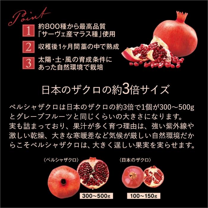 Esthe Pro Labo ザクロザイムペースト 30包入り サプリメント