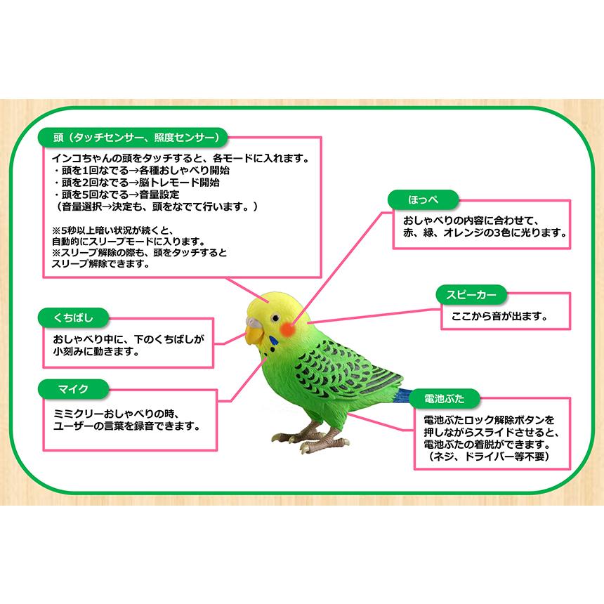 毎日おしゃべり 天才インコちゃん インコ おもちゃ 鳥 おしゃべり 音声認識 人形 ホビー タカラトミー シニア向け 敬老の日｜esthesupply｜07