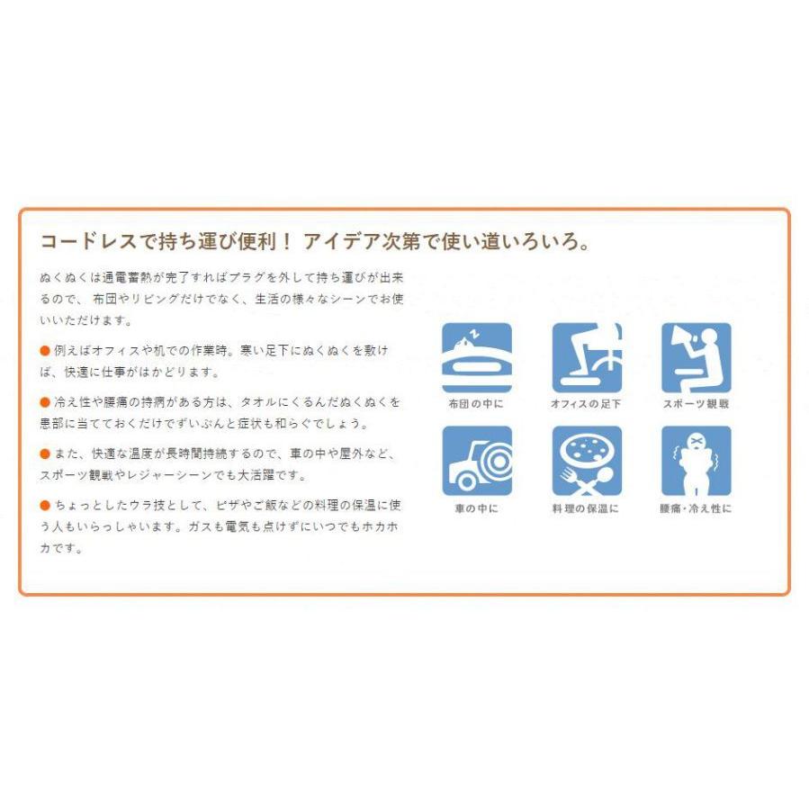 蓄熱式コードレス電気あんか ぬくぬく 保温 コードレス 電気あんか 寒い日 蓄熱 冬 防寒