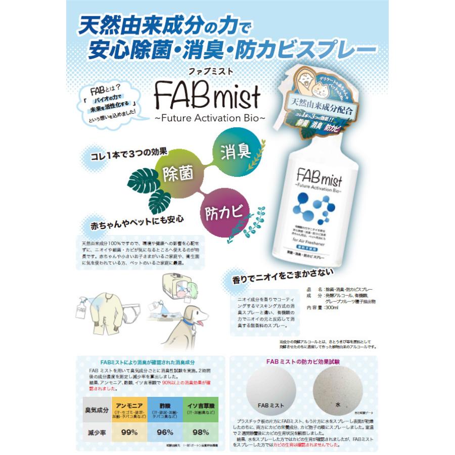 除菌 消臭 防カビ スプレー FABミスト 業務用 10L ウイルス 感染症 予防 発酵アルコール 天然由来 赤ちゃん ペット 送料無料の画像