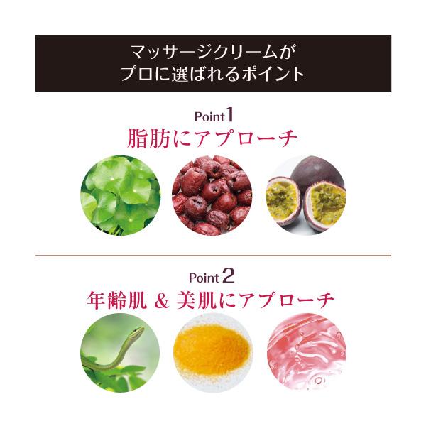 ラシンシア タイトヴィサージュ Vフェイスリフトマスク 150g x 10包 Tight Visage タイトビサージュ La Sincia 正規品 送料無料 