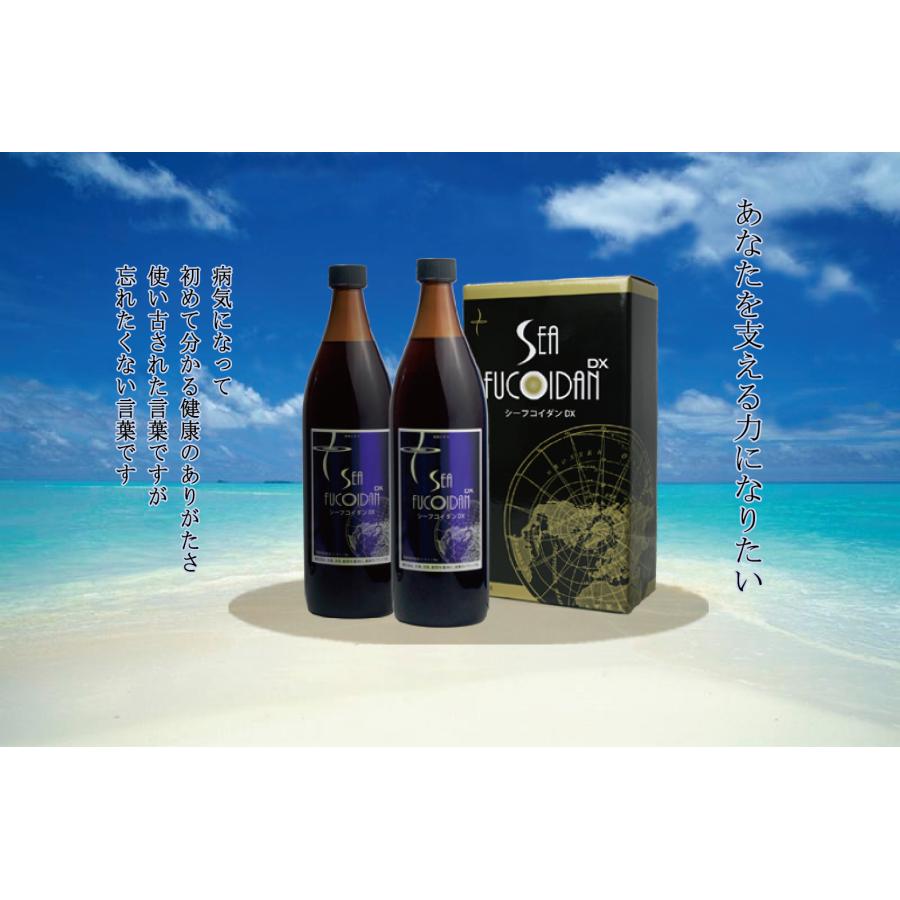 シーフコイダンDX 900ml × 2本セット 無糖 加糖 ホリウチフコイダン 無 