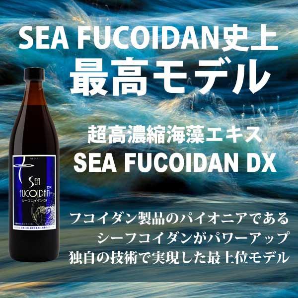 シーフコイダンDX 900ml × 2本セット 無糖 加糖 ホリウチフコイダン 無 