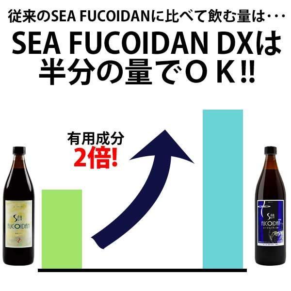 シーフコイダンDX 900ml × 2本セット 無糖 加糖 ホリウチ