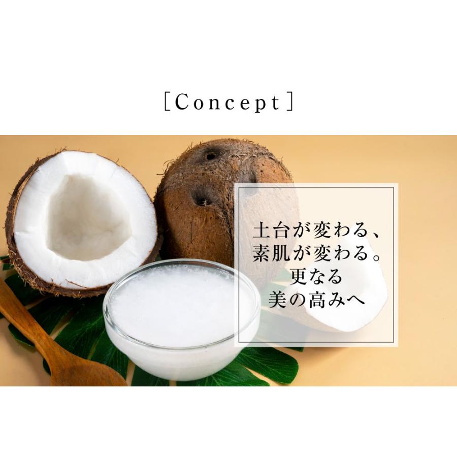 ココハニー ボタニカルパワークリーム 50g 美容クリーム 保湿クリーム