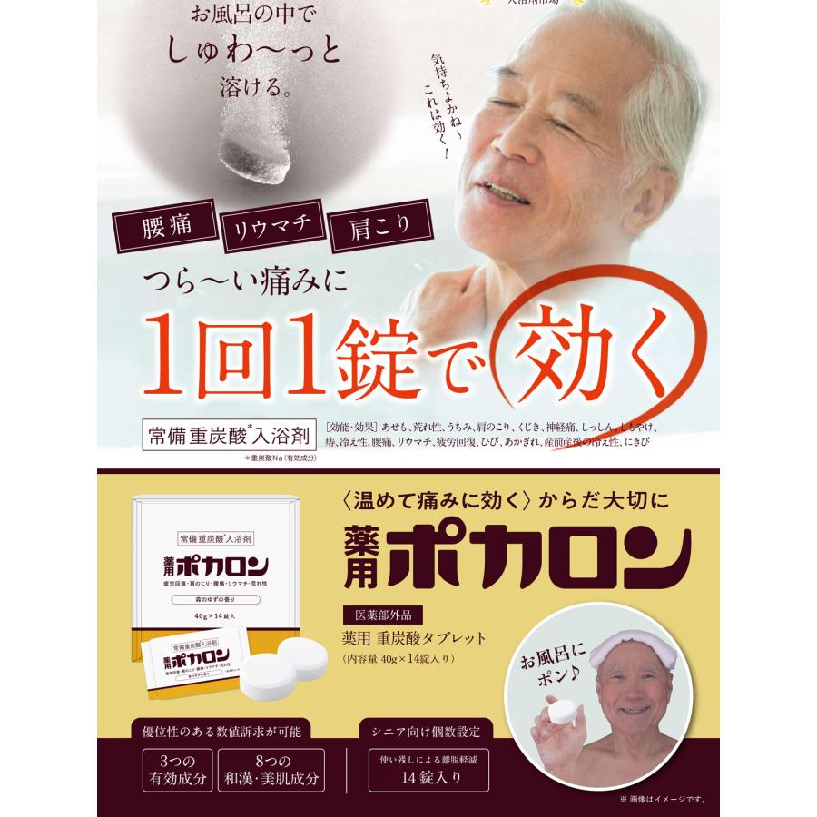3箱セット】重炭酸入浴剤 薬用ポカロン 40g×14錠入り 医薬部外品 森の