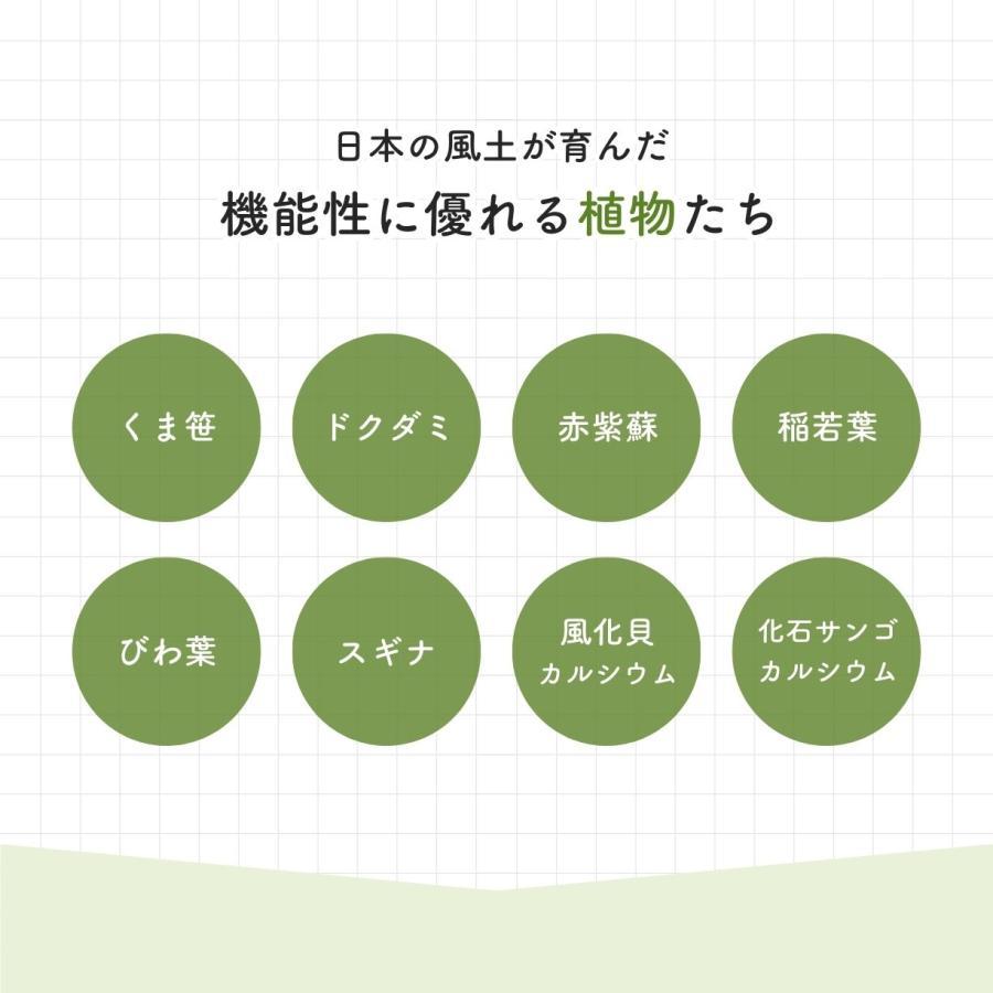 くま笹珪素 35g x 2個セット くまざさ クマ笹ケイ素 熊笹 くま笹 クマ