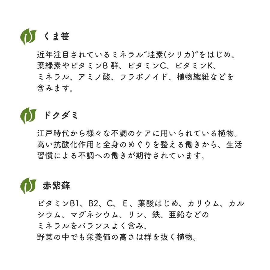 くま笹珪素 35g x 2個セット くまざさ クマ笹ケイ素 熊笹 くま笹 クマ
