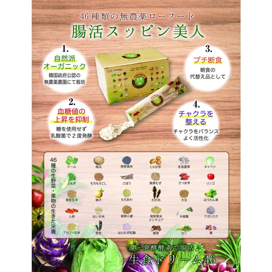 生食ドリーム46 ベジタブルパウダー 31包 生食ドリーム46 31袋入 乾燥野菜の粉末 酵素パウダー 酵素食品