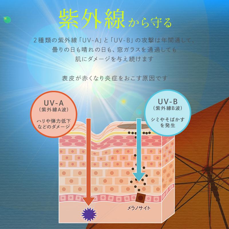デマレ ラグジュアリー カラーコントロール UV 50mL TU/トーンアップ