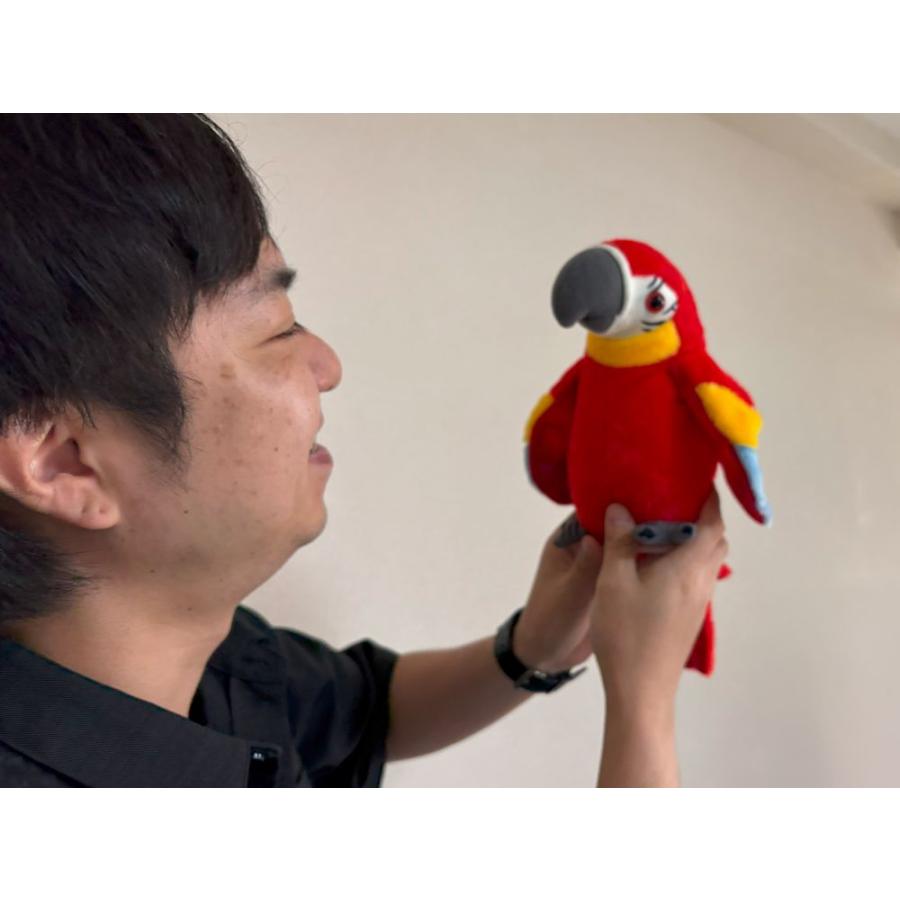 言葉を返してくれる おしゃべりオウちゃん OB-O01 オウム シニア向け