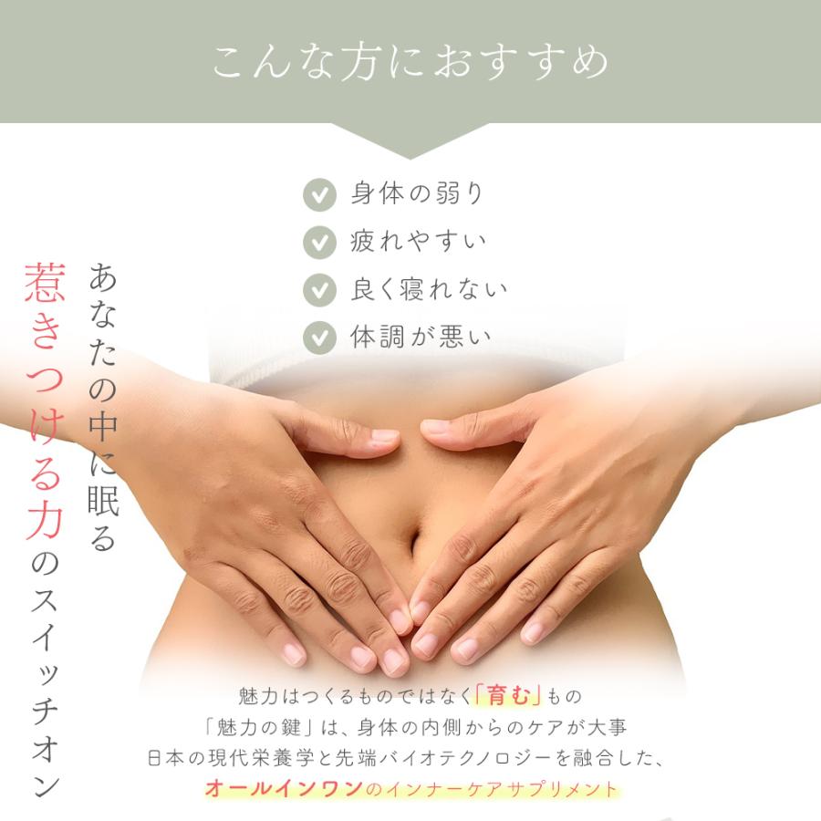 デマレ FKプラス 60包入 エフケイプラス インナー ケア 乳酸球菌 