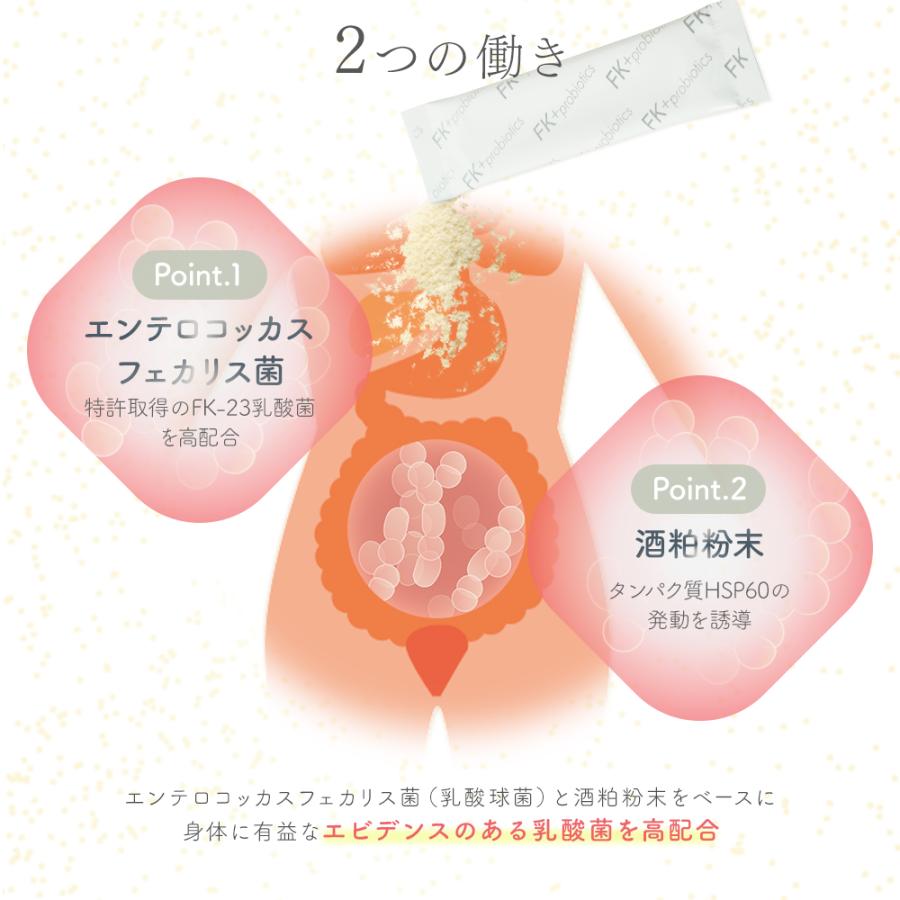 デマレ FKプラス 60包入 エフケイプラス インナー ケア 乳酸球菌 