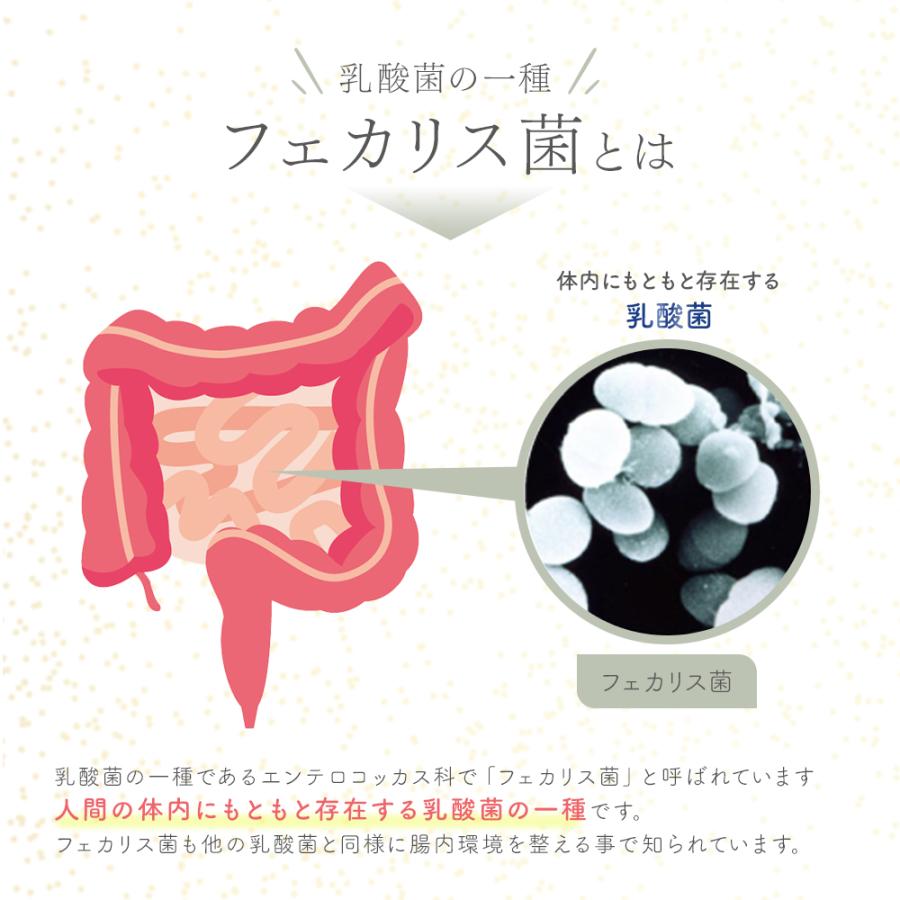 デマレ FKプラス 60包入 エフケイプラス インナー ケア 乳酸球菌 