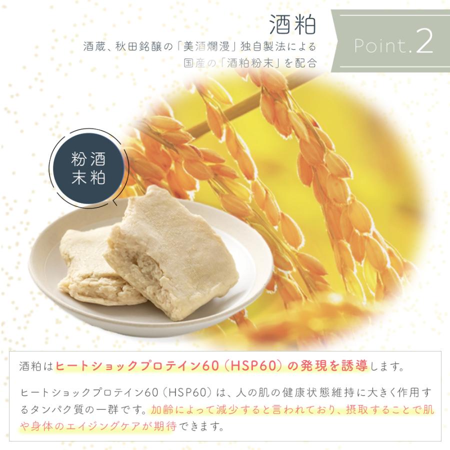 デマレ FKプラス 60包入 エフケイプラス インナー ケア 乳酸球菌 