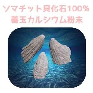 天然貝化石のカルシウム 220g 旧 太古のカルシウムPLUS 骨や歯の健康が