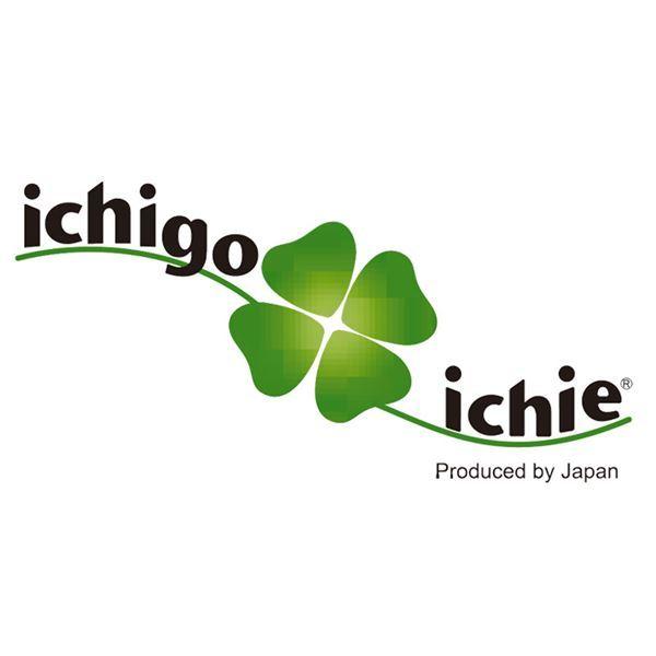 スイスイ歩けるおしゃれ カート ブルー 折りたたみ U型ハンドル ダブルキャスター カート カート スイスイ歩けるおしゃれ ブルー 折りたたみ U型ハンドル ダブルキャスター EIM1231318000(11990円)