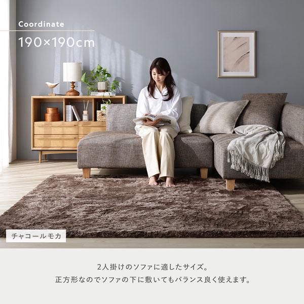 高密度シャギーラグ 約190×240cm アイボリー 抗菌 消臭 洗える ホット