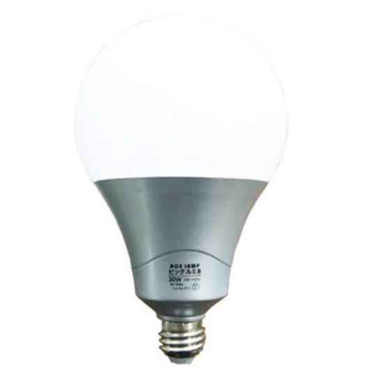 投光器 電球 交換 led 100v ビッグルミネ 30W 屋内用 超高輝度 口金E26