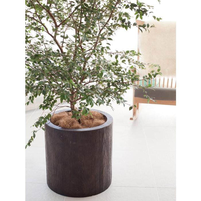 プランター 植木鉢 大型 ファイバープランター アルファ ウッド 45