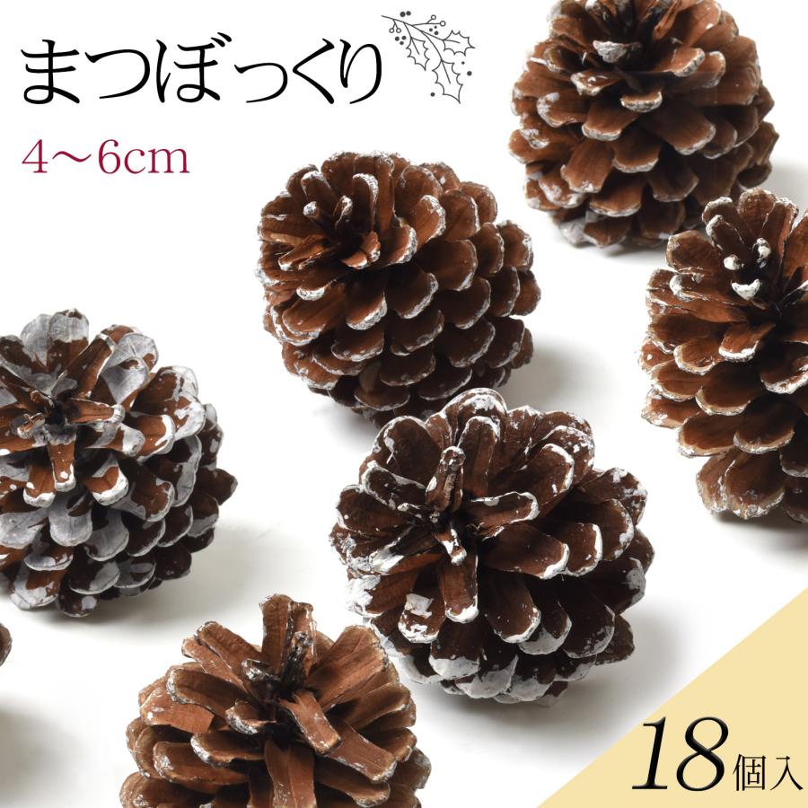 松ぼっくり 18個入 約4〜6cm 天然素材 まつぼっくり クリスマス