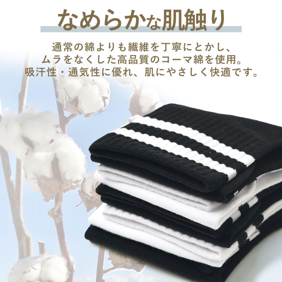 靴下 メンズ 5足 セット ライン 無地 綿 ソックス カジュアル ビジネス