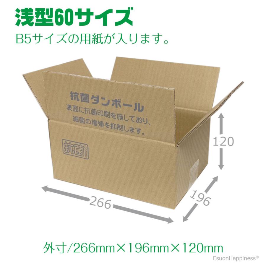 EsuonHappiness ダンボール 60サイズ 抗菌 40枚 セット 宅配箱 深型 浅
