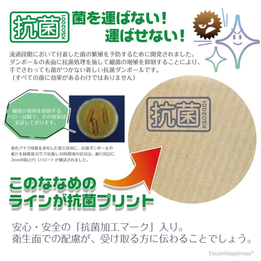 EsuonHappiness ダンボール 60サイズ 抗菌 20枚 セット 宅配箱 深型 浅